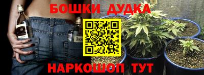 индика Наро-Фоминск