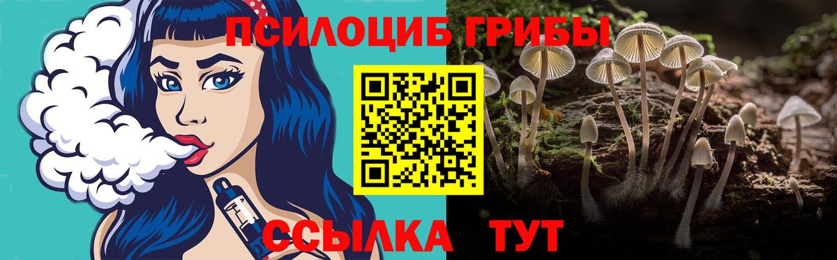 Псилоцибиновые грибы Psilocybe  Галлюциногенные грибы MAGIC MUSHROOMS  Вход с VPN  Тайшет 